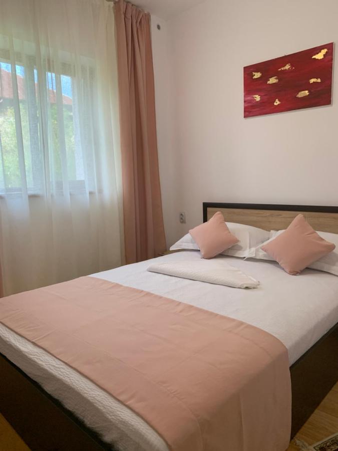 Casa Roa Hotel Slănic Buitenkant foto