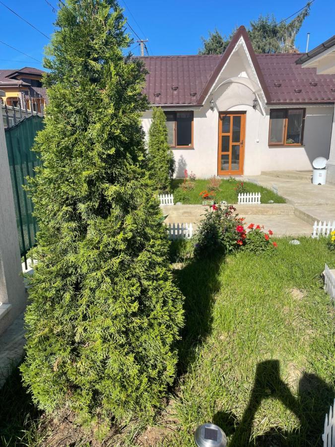Casa Roa Hotel Slănic Buitenkant foto